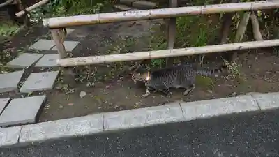 中尊寺金色堂(岩手県)