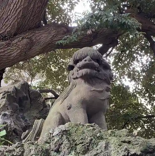 大綱金刀比羅神社の狛犬