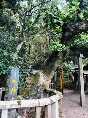 宗像大社のその他建物