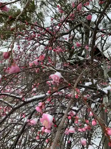 赤嵜神社の自然