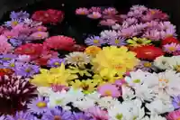 大鏑神社の手水舎