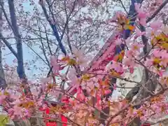 彌彦神社　(伊夜日子神社)(北海道)