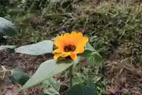 高司神社〜むすびの神の鎮まる社〜の庭園
