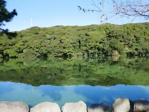 桜ヶ池池宮神社の自然