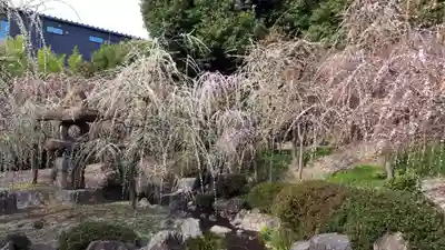 城南宮(京都府)