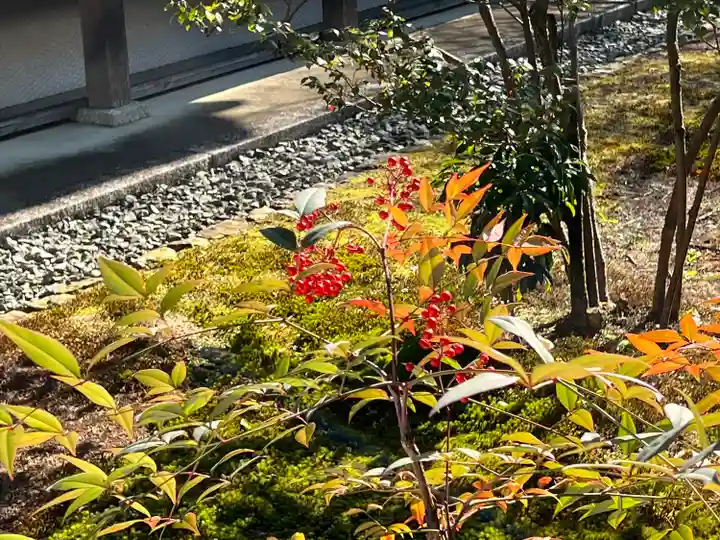 大覚寺(京都府)