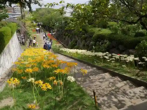 横浜　西方寺の庭園