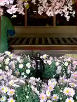 池上本門寺(東京都)