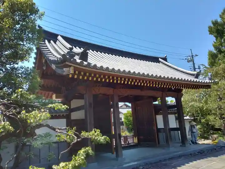 善徳寺の山門・神門