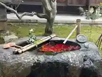 真正極楽寺(真如堂)(京都府)