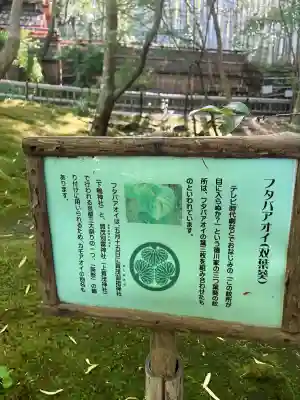 祇王寺の{uncategorized: "未分類", other: "その他", undefined: "問題あり", building: "その他建物", grave: "お墓", sacred_gate: "鳥居", guardian: "狛犬", statue: "像", buddha: "仏像", history: "歴史", nature: "自然", garden: "庭園", animal: "動物", pagoda: "塔", temizu: "手水舎", mountain_gate: "山門・神門", sanctuary: "本殿・本堂", subordinate: "末社・摂社", art: "芸術", scenery: "景色", jizo: "地蔵", ema: "絵馬", goshuin: "御朱印", omikuji: "おみくじ", items: "授与品その他", amulet: "お守り", goshuincho: "御朱印帳", eats: "食事", festival: "お祭り", votive_dance: "神楽", shichigosan: "七五三参", wedding: "結婚式", experience: "体験その他", initially: "初詣", around: "周辺", anti_infection: "感染症対策"}