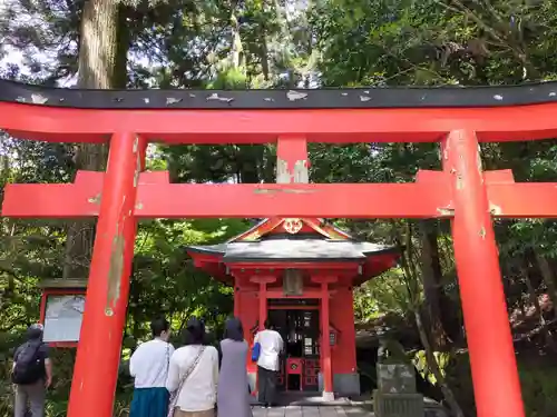 箱根神社の鳥居