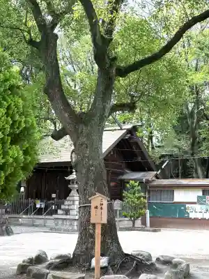神明社（桜神明社）(愛知県)
