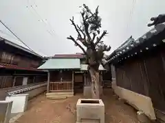 事代主神社(兵庫県)