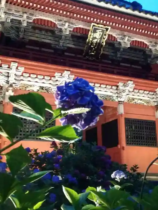 楽法寺(雨引観音)の山門・神門