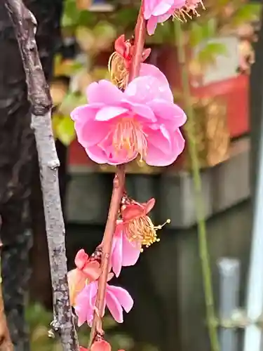 居木神社(東京都)