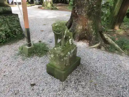 間々田八幡宮の狛犬