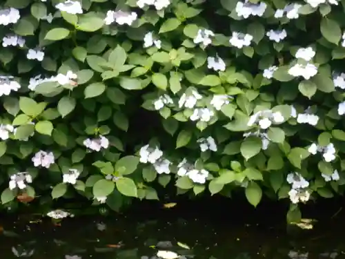 蛇苦止明神（蛇苦止堂）の自然