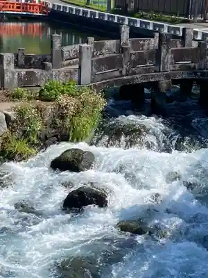 富士山本宮浅間大社(静岡県)