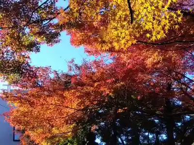 足羽山招魂社(福井県)