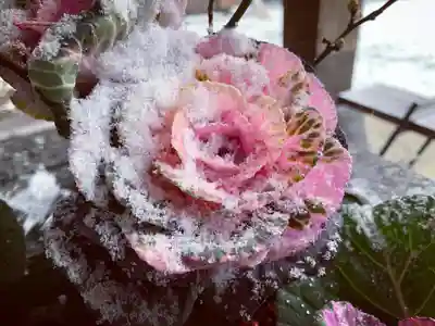 滑川神社 - 仕事と子どもの守り神(福島県)