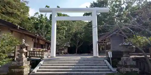 安房神社の鳥居