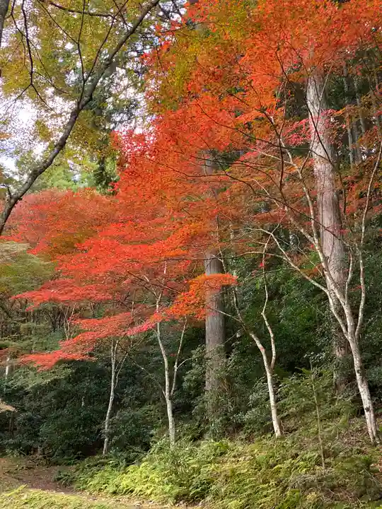 高源寺(兵庫県)
