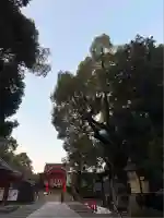 石清水八幡宮(京都府)