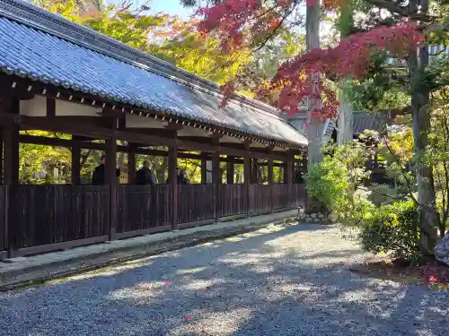 真正極楽寺（真如堂）(京都府)