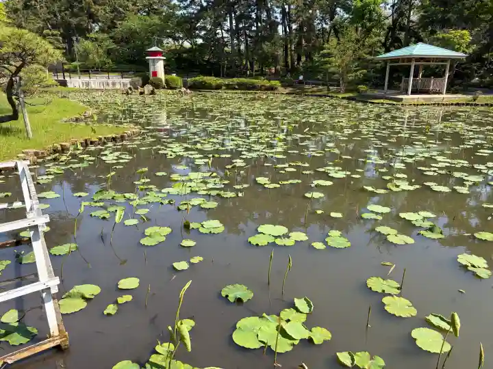 白山神社の{uncategorized: "未分類", other: "その他", undefined: "問題あり", building: "その他建物", grave: "お墓", sacred_gate: "鳥居", guardian: "狛犬", statue: "像", buddha: "仏像", history: "歴史", nature: "自然", garden: "庭園", animal: "動物", pagoda: "塔", temizu: "手水舎", mountain_gate: "山門・神門", sanctuary: "本殿・本堂", subordinate: "末社・摂社", art: "芸術", scenery: "景色", jizo: "地蔵", ema: "絵馬", goshuin: "御朱印", omikuji: "おみくじ", items: "授与品その他", amulet: "お守り", goshuincho: "御朱印帳", eats: "食事", festival: "お祭り", votive_dance: "神楽", shichigosan: "七五三参", wedding: "結婚式", experience: "体験その他", initially: "初詣", around: "周辺", anti_infection: "感染症対策"}