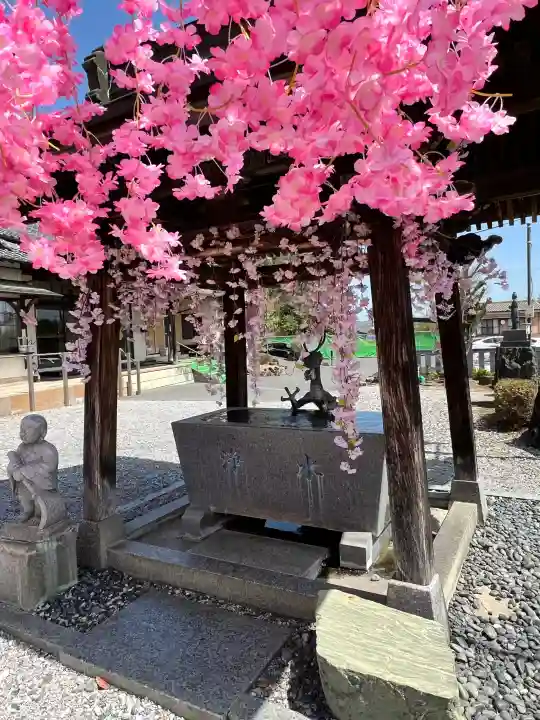 寺岡山元三大師の{uncategorized: "未分類", other: "その他", undefined: "問題あり", building: "その他建物", grave: "お墓", sacred_gate: "鳥居", guardian: "狛犬", statue: "像", buddha: "仏像", history: "歴史", nature: "自然", garden: "庭園", animal: "動物", pagoda: "塔", temizu: "手水舎", mountain_gate: "山門・神門", sanctuary: "本殿・本堂", subordinate: "末社・摂社", art: "芸術", scenery: "景色", jizo: "地蔵", ema: "絵馬", goshuin: "御朱印", omikuji: "おみくじ", items: "授与品その他", amulet: "お守り", goshuincho: "御朱印帳", eats: "食事", festival: "お祭り", votive_dance: "神楽", shichigosan: "七五三参", wedding: "結婚式", experience: "体験その他", initially: "初詣", around: "周辺", anti_infection: "感染症対策"}