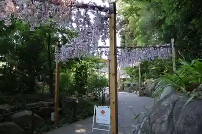 川越氷川神社(埼玉県)
