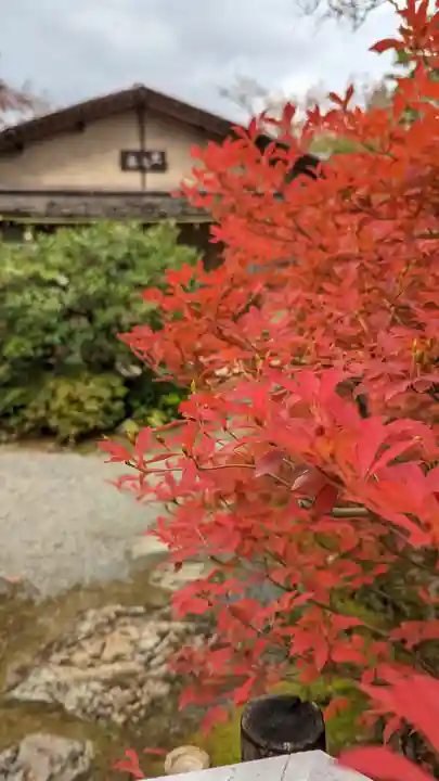 光悦寺(京都府)