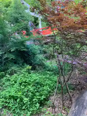 城山八幡宮の周辺
