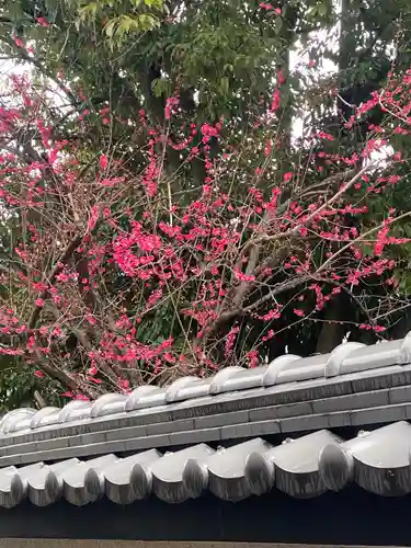 郷荘神社(大阪府)