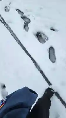 神炊館神社 ⁂奥州須賀川総鎮守⁂(福島県)