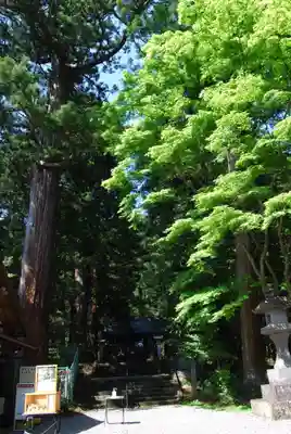 赤城神社(三夜沢町)(群馬県)