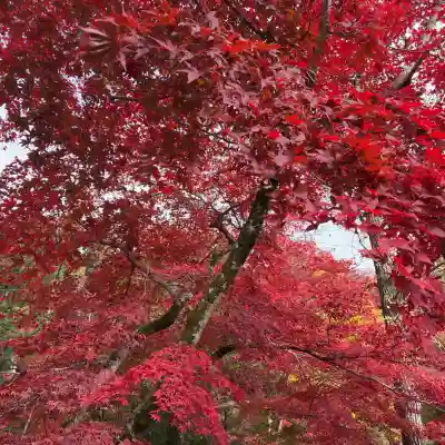 意冨布良神社(滋賀県)