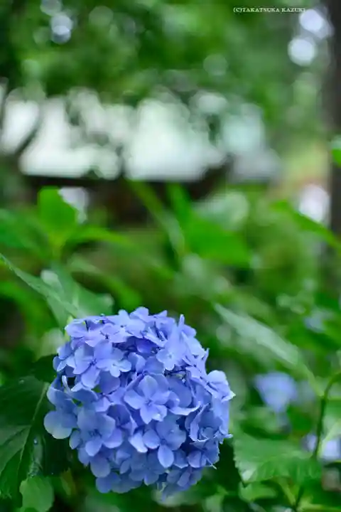 妙楽寺(神奈川県)