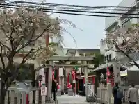吉原神社の{uncategorized: "未分類", other: "その他", undefined: "問題あり", building: "その他建物", grave: "お墓", sacred_gate: "鳥居", guardian: "狛犬", statue: "像", buddha: "仏像", history: "歴史", nature: "自然", garden: "庭園", animal: "動物", pagoda: "塔", temizu: "手水舎", mountain_gate: "山門・神門", sanctuary: "本殿・本堂", subordinate: "末社・摂社", art: "芸術", scenery: "景色", jizo: "地蔵", ema: "絵馬", goshuin: "御朱印", omikuji: "おみくじ", items: "授与品その他", amulet: "お守り", goshuincho: "御朱印帳", eats: "食事", festival: "お祭り", votive_dance: "神楽", shichigosan: "七五三参", wedding: "結婚式", experience: "体験その他", initially: "初詣", around: "周辺", anti_infection: "感染症対策"}