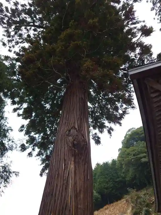 須我神社(島根県)