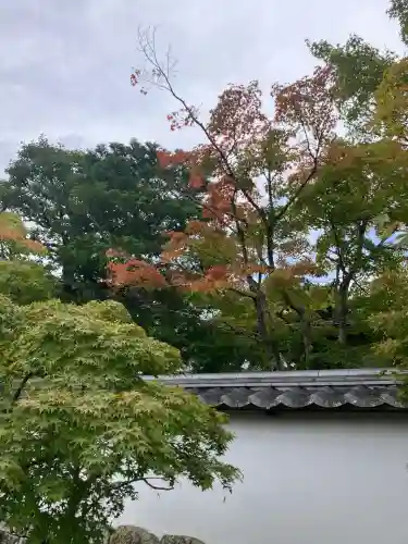 満願寺(兵庫県)