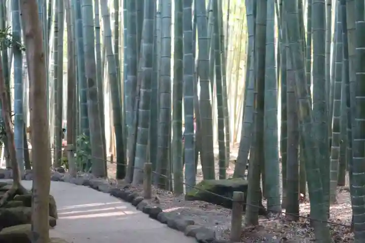 報国寺(神奈川県)