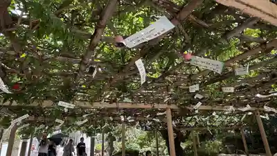 金蛇水神社(宮城県)