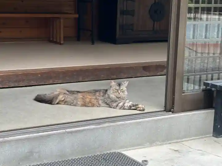青麻神社(宮城県)