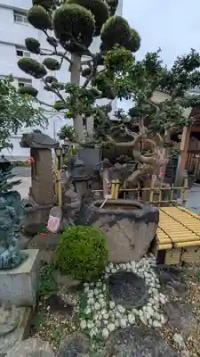 淨光寺（浄光寺）(兵庫県)