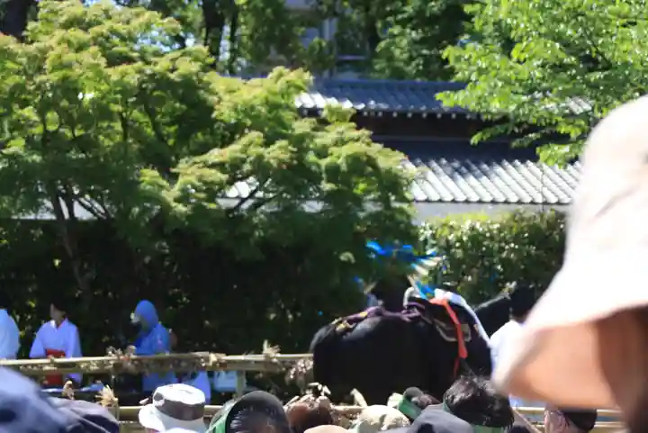 賀茂別雷神社(上賀茂神社)(京都府)