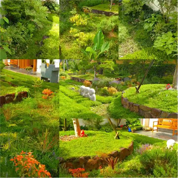 寿量山 速成寺の庭園