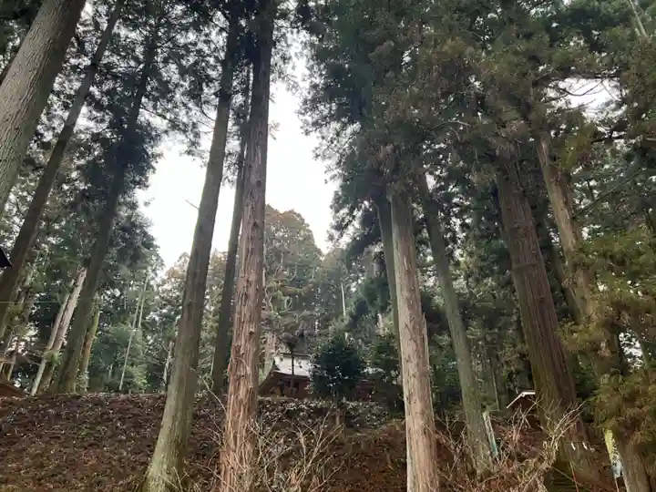 大宮温泉神社(栃木県)