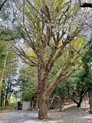 石手堰神社(岩手県)